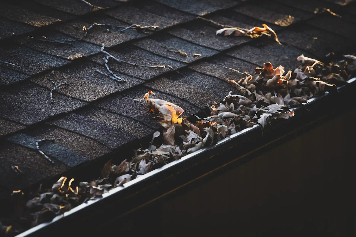 Gutter packed with fall leaves before cleaning and guards
