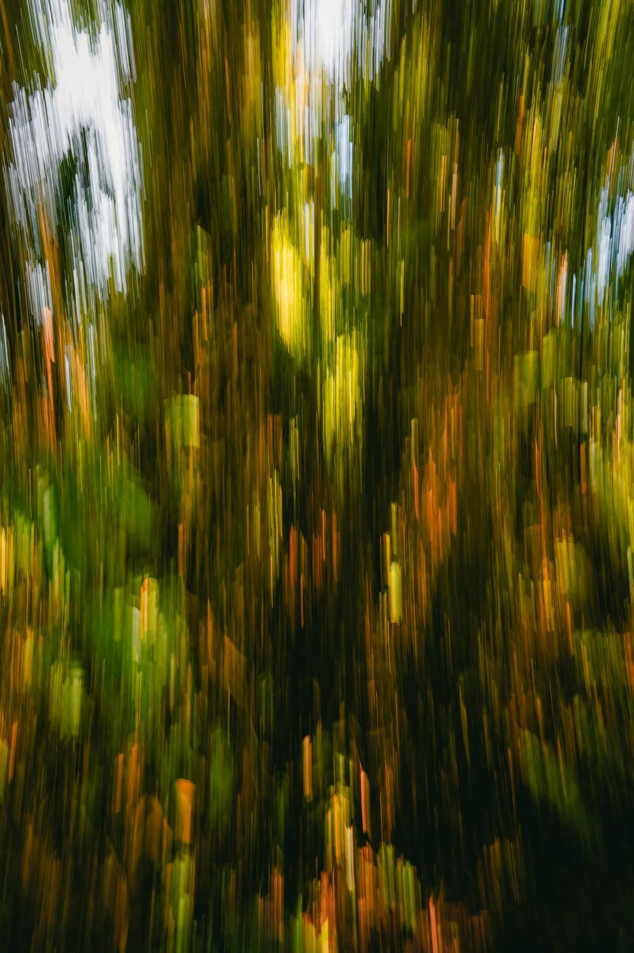 Streamline detail 4
